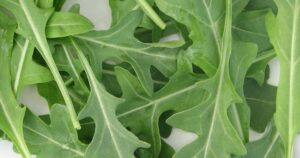 rúcula verde